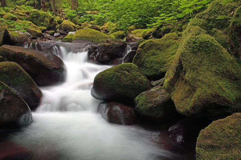 outdoors, flowing Water, tropical Rainforest, Multnomah Creek, timelapse, daytime, Canon  EOS  5D  Mark  II, Multnomah  Creek, Brook  Stream, green Color