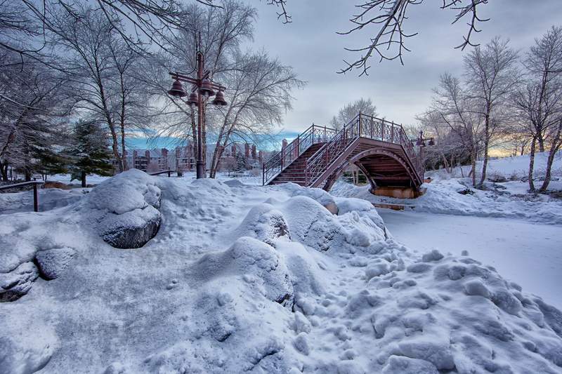 branch, landscape, trees, snowstorm, weather, cold, icy, plant, frosty, environment, nature, lampposts, scenics - nature, winter, architecture, wood, bridge