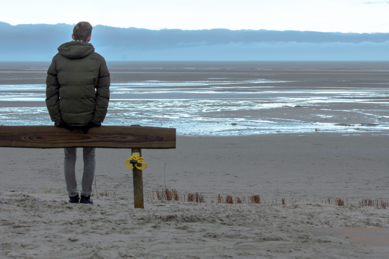 man, land, tranquil scene, wooden post, person, nature, looking at view, water, sea, beach, real people, day, outdoors, full length, scenics - nature, mood
