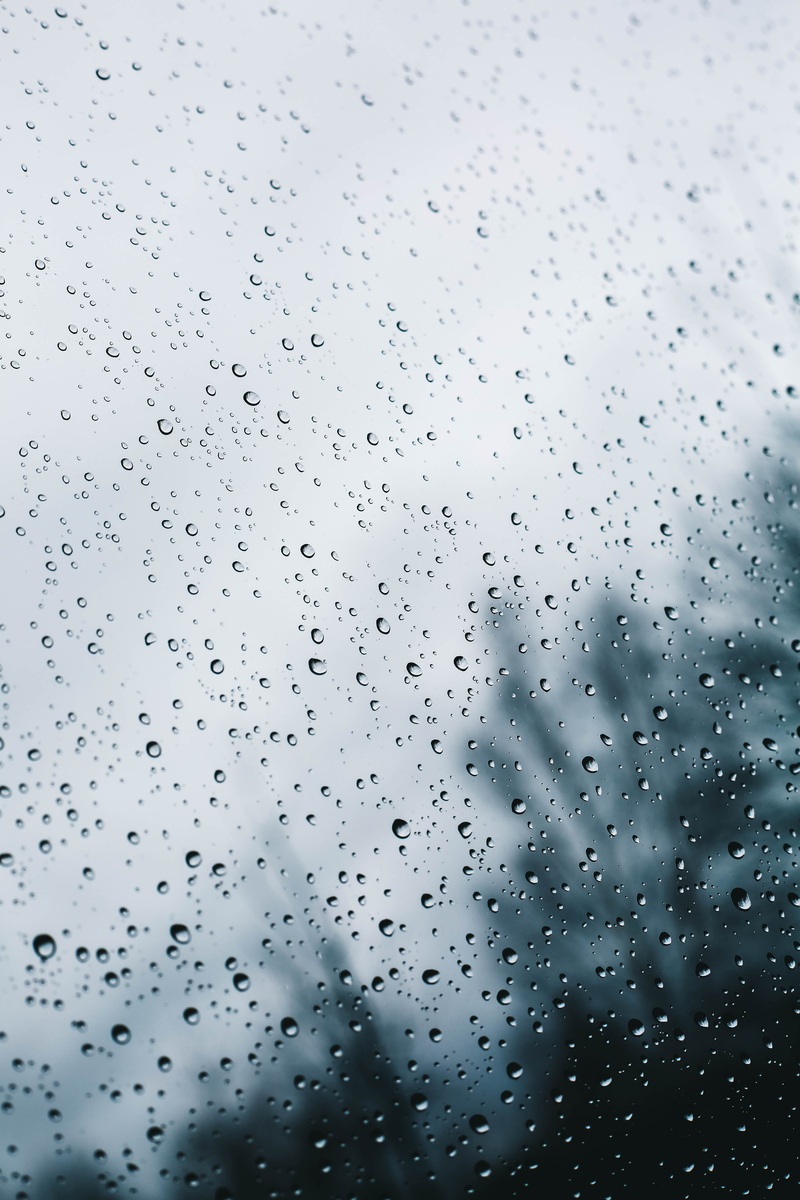 focus on foreground, united states, glass - material, raindrop, day, drop, wet, 5K, focus, nature, tree, sky, gloomy, drops, mother nature, water, glass