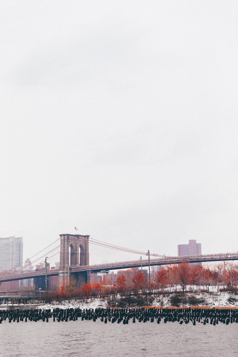 city, snow, new york, transportation, brooklyn bridge, outdoors, united states, clear sky, brooklyn heights, built structure, architecture, urban, building exterior