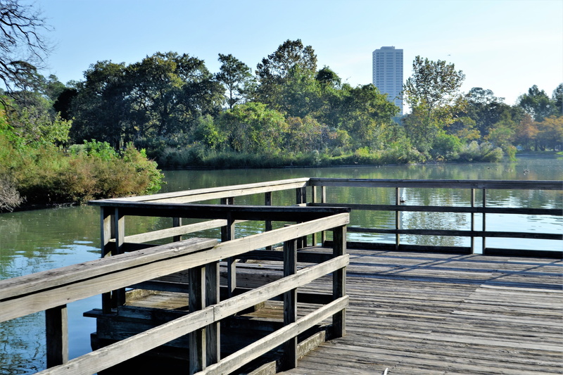 4K, built structure, landscape, houston, houston texas, wood, water, brown, romantic, tranquil scene, tranquil, state park, city, sky, wood - material