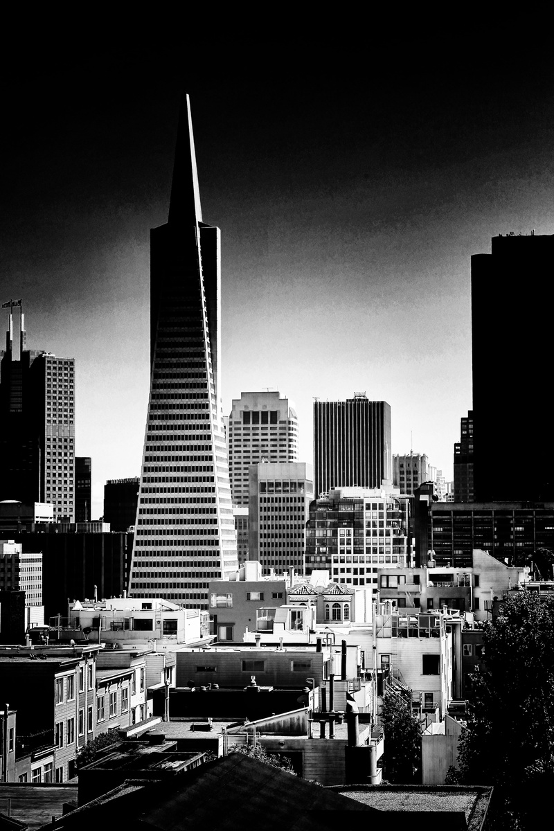 building, built structure, office building exterior, san francisco, landscape, cityscape, nature, office, san fransisco, urban, transamerica pyramid building