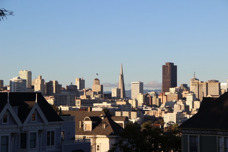 city, spire, modern, tall - high, tourism, outdoors, settlement, skyscraper, building, big, sunlight, nature, no people, day, united states, built structure