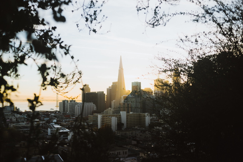 no people, spire, travel, city, transamerica, sf, yellow, sunrise, tall - high, plant, tower, nature, golden hour, building, 5K, ina coolbrith park, financial district