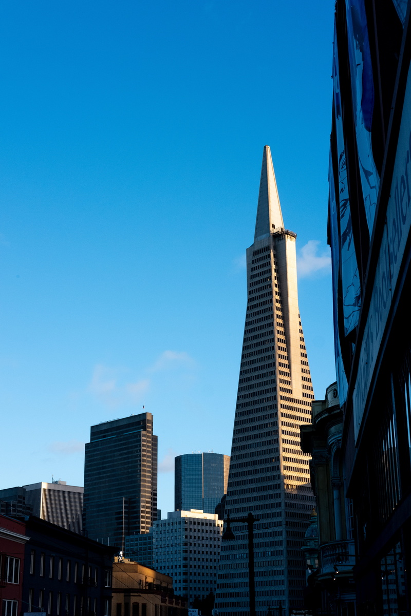 highrises, low angle view, metropolis, tall - high, day, architecture, town, blue, usa, office building, sanfrancisco, clear sky, building exterior, nature