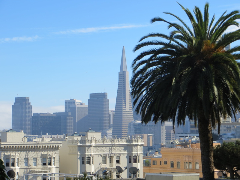 tree, nature, financial district, spire, architecture, no people, building exterior, tall - high, skyscraper, 2K, office, san francisco, tower, modern