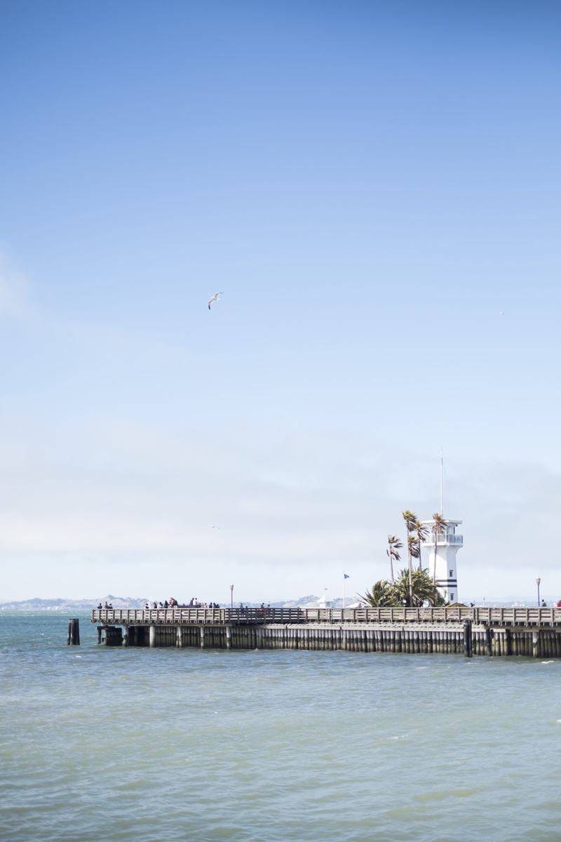 wooden, pier, water, outdoors, ocean, flying, vehicle, leisure activities, building, vertebrate, brown, animal themes, architecture, no people, boardwalk