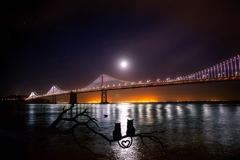 heart, branch, suspension bridge, travel destinations, ocean, built structure, water, grey, nature, port, construction, landmark, dark, sea, bridge - man made structure