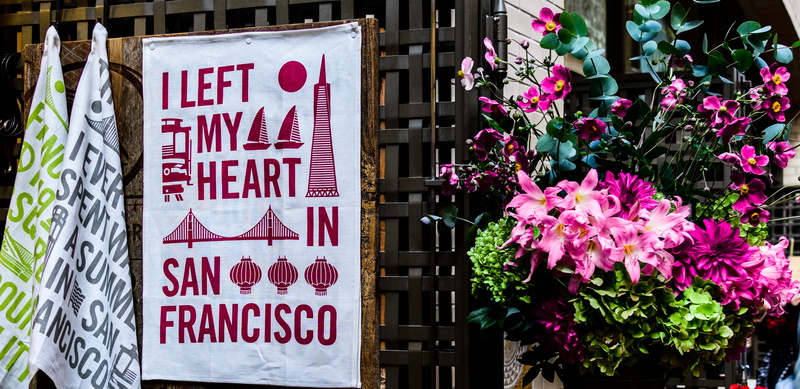 text, nature, business, market, information, united states, communication, day, plant, flower head, flowering plant, sanfrancisco, retail, sign, no people