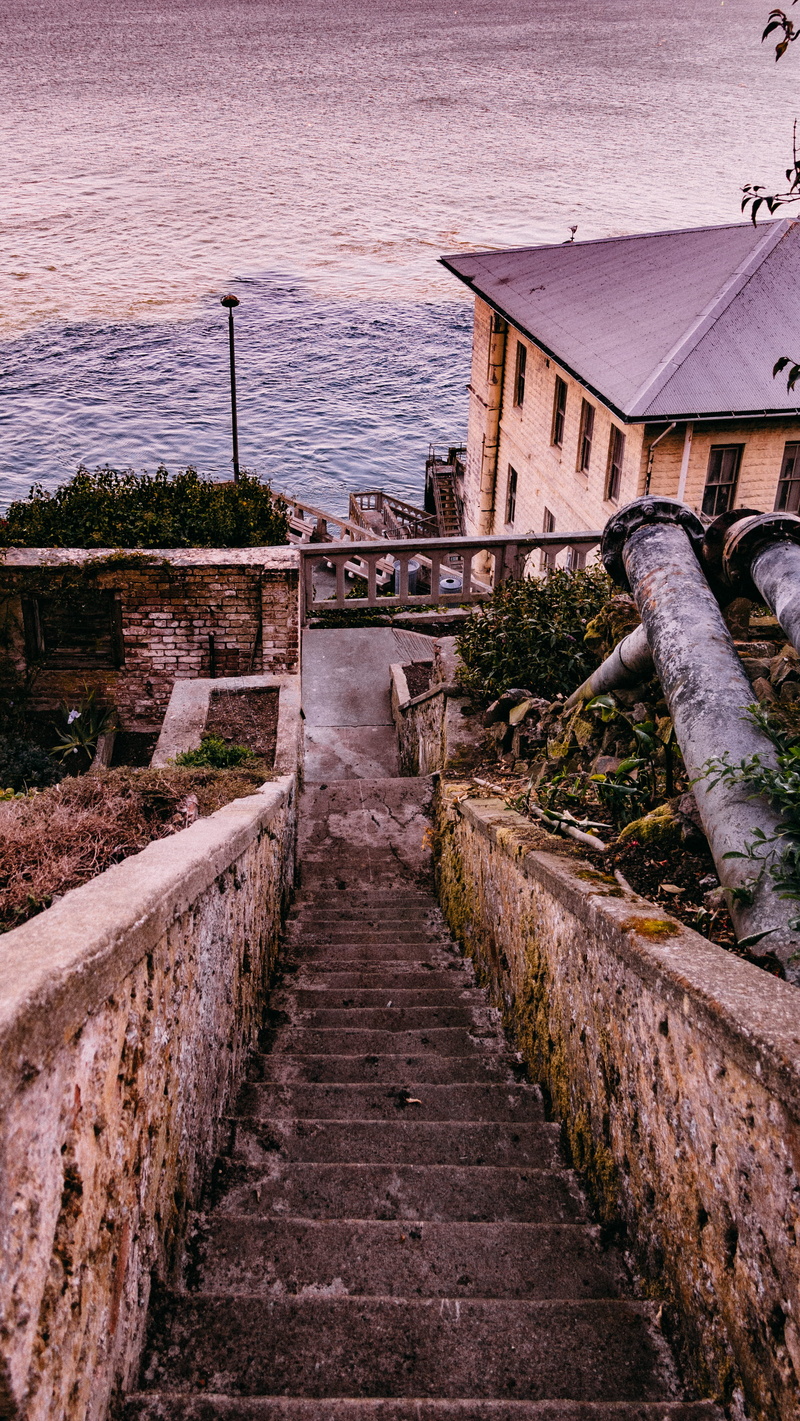 history, nature, architecture, building exterior, ocean, water, footpath, pink, san francisco, building, high angle view, sea, the past, the way forward