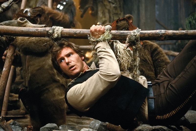 Star Wars, vertebrate, 1080P, domestic, real people, one animal, ape, winter, domestic animals, mammal, warm clothing, adult, men, Harrison Ford, primate