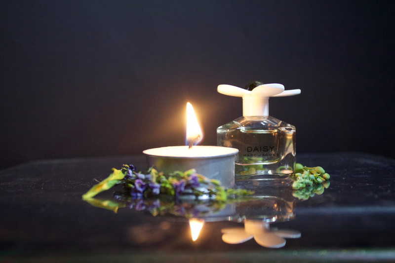 close-up, flame, jar, flower, led, spa, burning, lighting, nature, fire - natural phenomenon, dark, bar counter, flowering plant, goblet, 5K, glowing