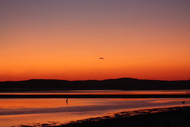 sea, nature, orange Color, marina, sky, silhouette, body, dusk, hill, mirrored, orange, sunset, reflection, orange sky, water, morro  bay, body of water