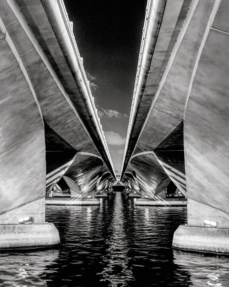 travel, esplanade, grayscale, bridge - man made structure, nature, water, reflection, below, sky, engineering, river, photo, waterfront, landscape, transportation