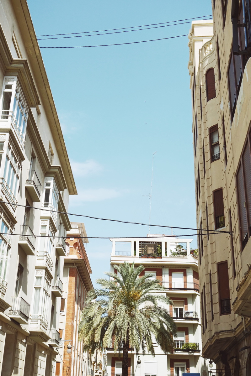 cable, street, city, summer, tropical climate, built structure, valencia, place, day, building exterior, outdoors, architecture, plant, spain, no people
