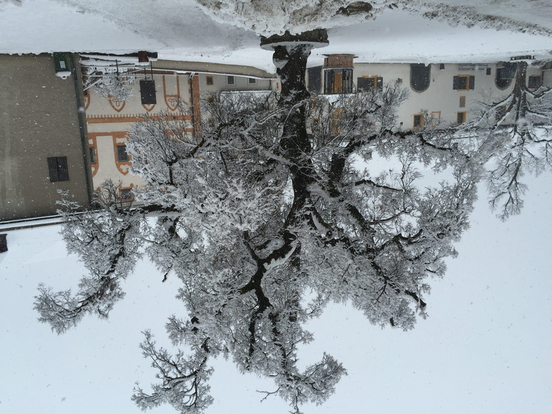 cold temperature, white, 2K, house, oldtown, no people, tree, trees, day, winter, window, plant, christmas, snow, architecture, white color, residential district