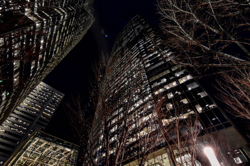 architecture, skyscraper, bare tree, downtown, cityscape, nightlife, illuminated, modern, lights, location, place, tall - high, city, low angle view, building exterior