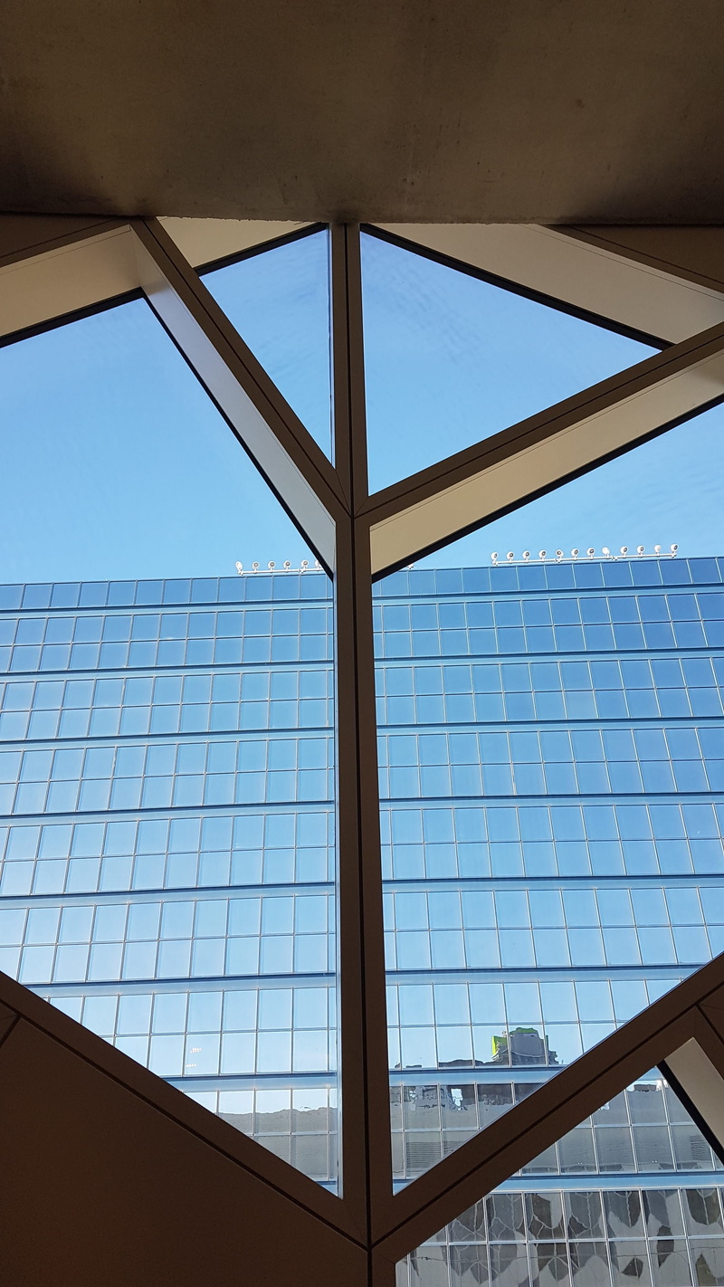 windows, skylight, window frame, sky, directly below, glass, glass - material, office building exterior, city hall, geometric shape, built structure, library