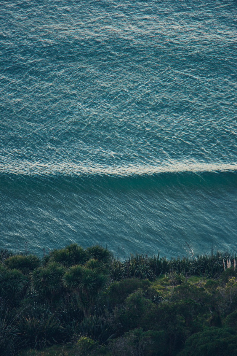 sea waves, beach, tranquil scene, east coast, water, leisure activities, beauty in nature, no people, sea, adventure, tree, ocean, growth, texture, green
