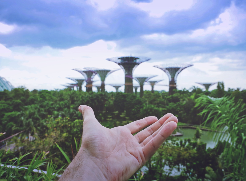singapore supertree, supertree grove, singapore, finger, sky, cloud - sky, garden, singapore architecture, body part, outdoors, futuristic city, real people