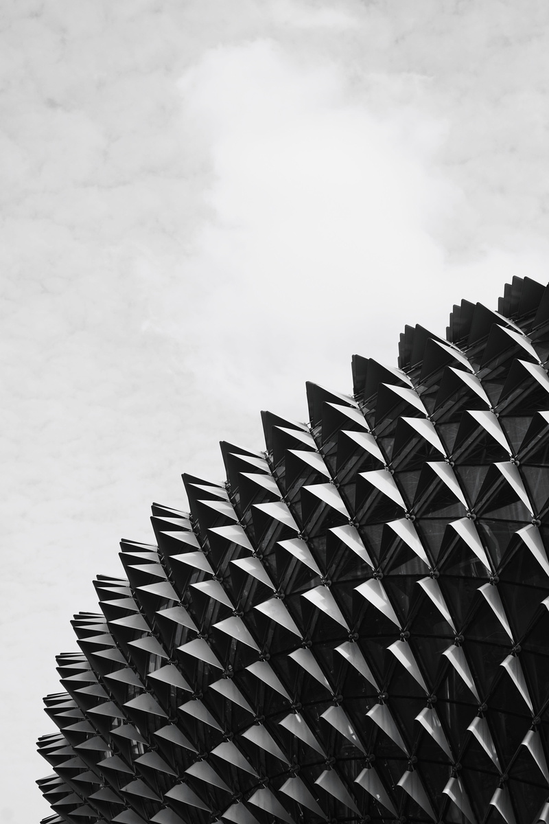 building exterior, sky, esplanade, wheel, modern, day, nature, cloud - sky, design, pattern, low angle view, scales, built structure, durian, metal, outdoors