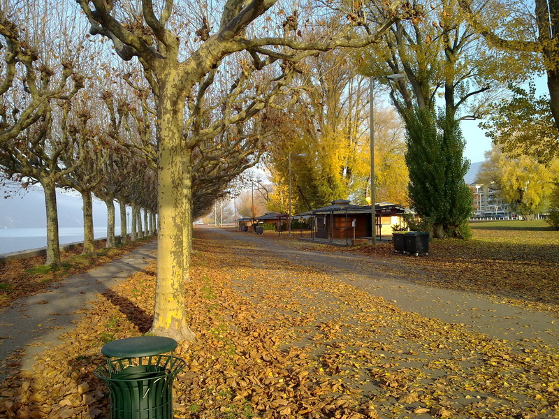 nature, beauty in nature, esplanade, les bains, plant, day, growth, tranquil scene, yellow, land, scenics - nature, outdoors, fall, path, savoie, leaf