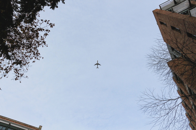 plant, motion, flight, outdoors, aerospace industry, tree, motivation, nature, mid-air, clear sky, bare tree, architecture, plane, seattle, day, paul g. allen center for computer science and engineering (cse)