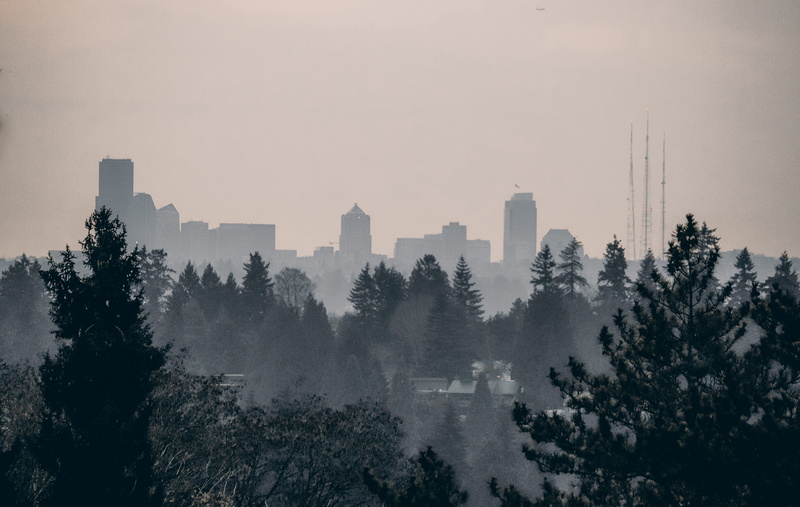 built structure, plant, building exterior, sunset, tree, seattle wa, united states, fog, towers, 5K, pollution, high angle view, haze, washington, trees