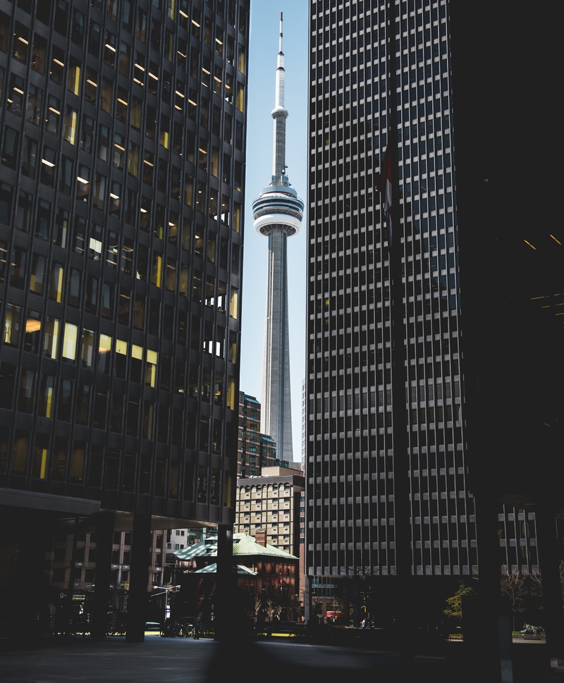 tall - high, nature, built structure, middle, low angle view, seattle, tower, cn tower, office building exterior, residential district, street light, building exterior