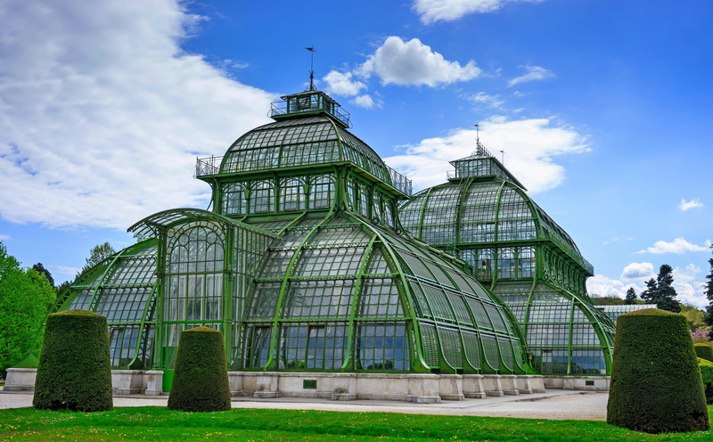 schloss, tree, Architecture, palmery, city, built structure, tourism, the past, outdoors, schonbrunn, history, Structure, green color, Europe, Greenhouse