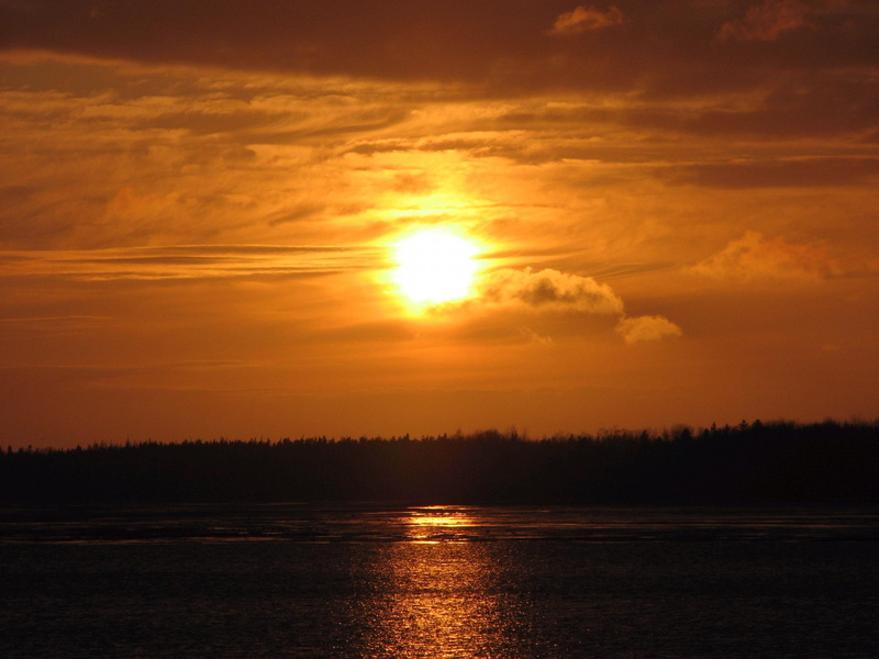 nature, sonnenuntergang, love, 1080P, 3d and abstract, golden, time
