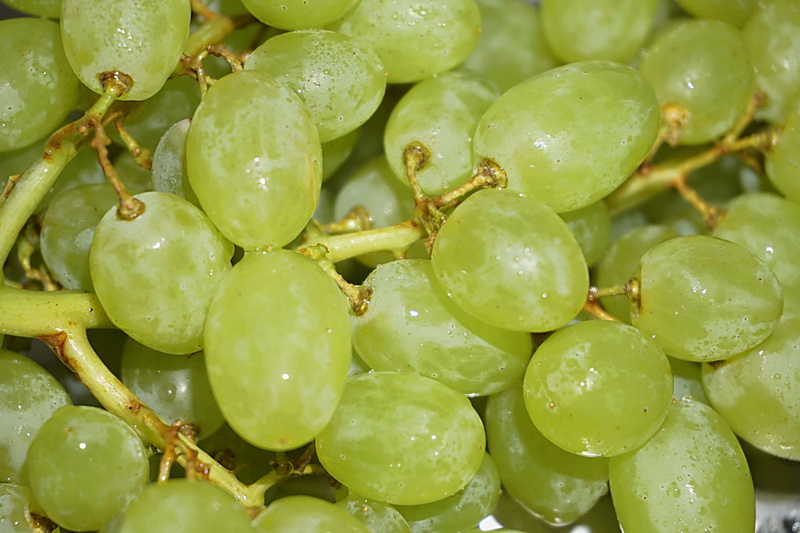 plant, large group of objects, repas, still life, full frame, close-up, green color, alimentation, backgrounds, no people, food and drink, water, ripe