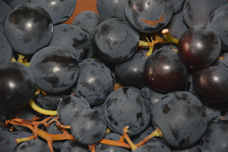 blueberry, high angle view, dessert, selective focus, ripe, no people, food and drink, nourriture, fruits, food, full frame, backgrounds, wellbeing, raisins secs