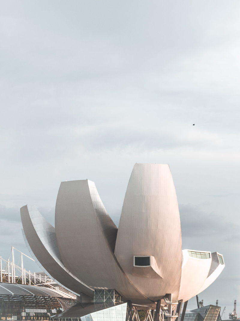 day, streetphotography, buildings, flying, animals in the wild, vertebrate, animal, travel destinations, bird, marinabaysands, outdoors, city, modern, sky