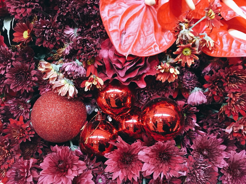 flower head, holiday, freshness, red, backgrounds, mandarin oriental, christmas ornament, close-up, thailand, abundance, christmas decorations, flowering plant