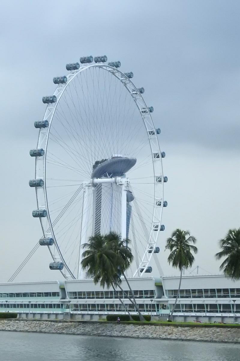 fairground, architecture, ferris wheel, day, no people, travel destinations, amusement park ride, water, shape, image, singapore, large, nature, arts culture and entertainment