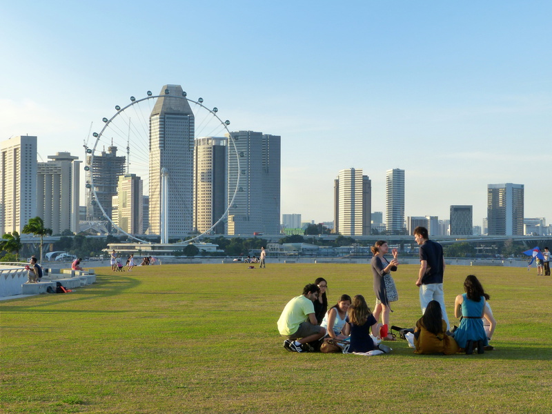 building exterior, field, singapore landmark, group of people, built structure, london, scenery, park, marina barrage, eye, singapore flyer, men, plant