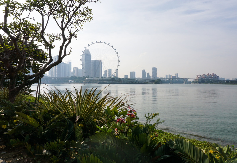 downtown District, office building exterior, building exterior, financial district, landscape, water, architecture, ferris wheel, singapore, bay, urban Scene