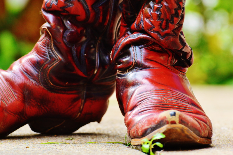animal wildlife, Leather, old, 80S, red, working, people, herbivorous, 4K, Cowboy Boots, leather boots, brown, close-up, domestic animals, shoes, mammal