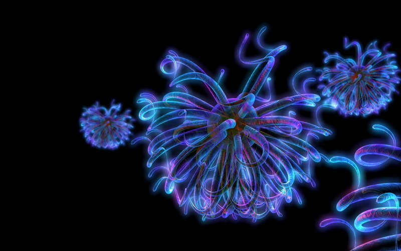 three, fractal, vibrant Color, light painting, exploding, backgrounds, circuit, 1080P, bright, firework display, neon, copy space, colors, nature, light