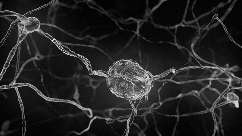 1080P, art, anatomy, human, nerves, digital, microscopic