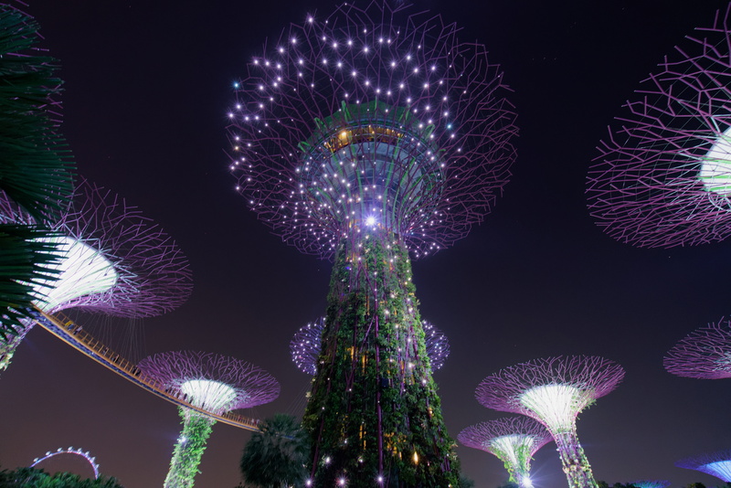 festival, crowd, plant, glowing, lighting, night, ocean, 8K, arts culture and entertainment, tree illumination, singapore, motion, light, garden by the bay