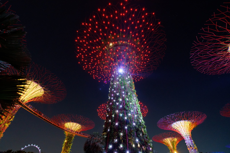 fireworks, architecture, sky, nature, ferris wheel, ornament, multi colored, new years eve, event, christmas tree, celebration, garden bay, carnival, arts culture and entertainment