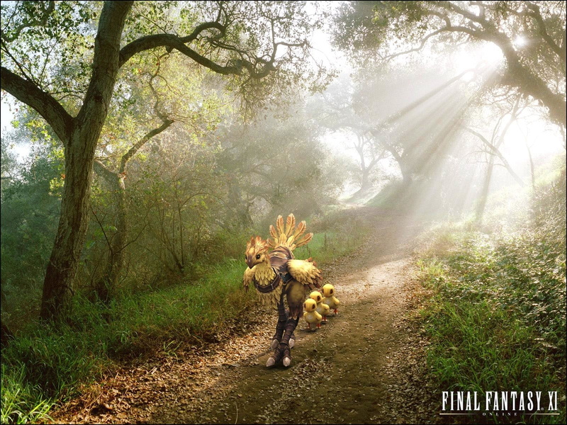 720P, Chocobo (Final Fantasy), Video Game, Final Fantasy XI