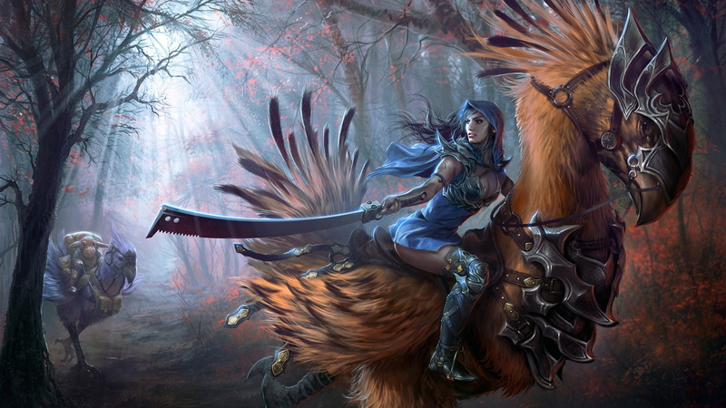 Video Game, 1080P, Final Fantasy XI, Chocobo (Final Fantasy)
