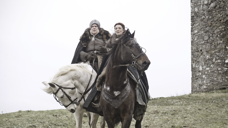 1080P, herbivorous, mammal, tv series, activity, game of thrones season 7, day, togetherness, pets, working animal, michelle fairley, horseback riding
