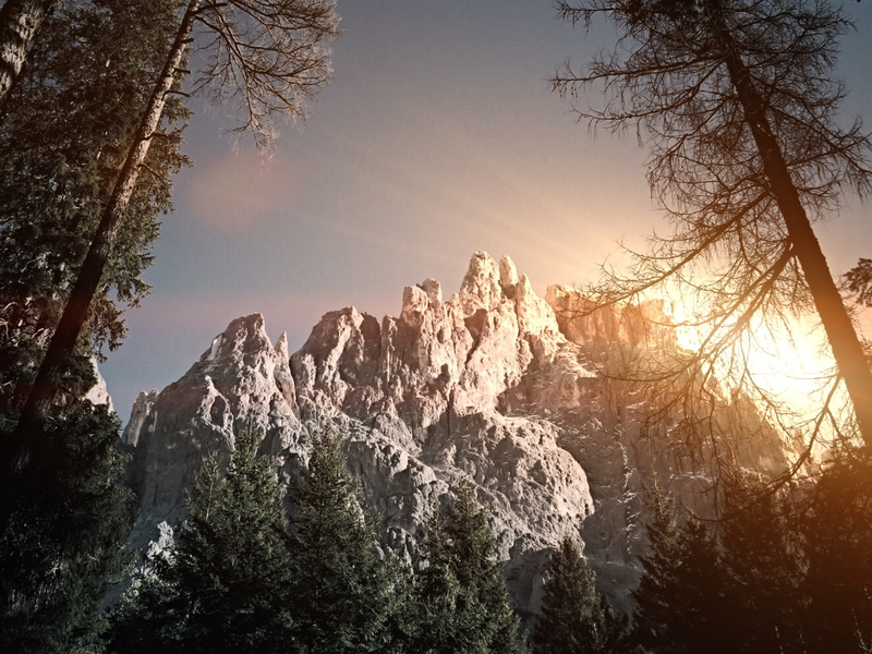 pine woodland, scenics, eye, pine, land, pinaceae, nature, rock, green, yellow, mountains, worm, winter, view, sunrise, plant, gray, coniferous tree, sky