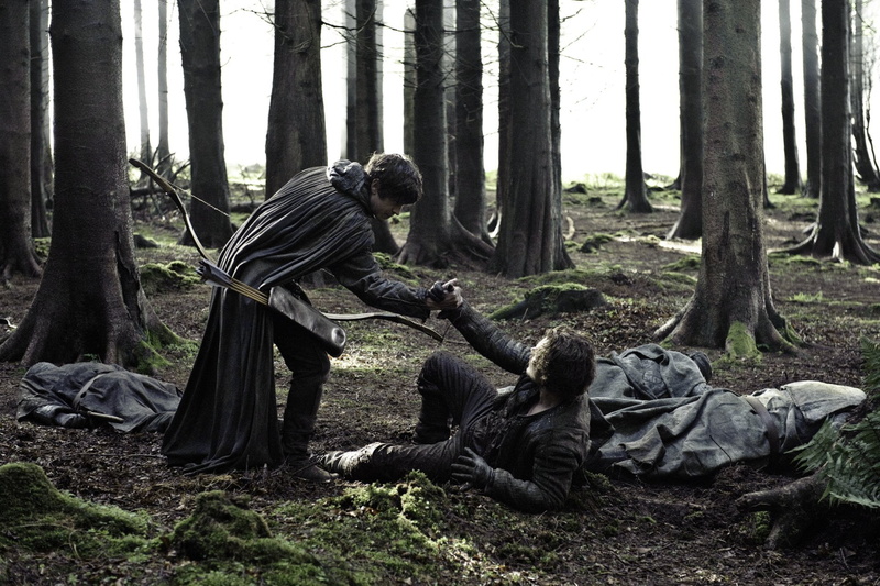 animal wildlife, Ramsay Bolton, nature, trunk, growth, land, Theon Greyjoy, outdoors, group of animals, woodland, no people, animal themes, animal, full length