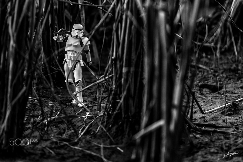 stormtrooper, Star Wars, land, real people, day, 1080P, young adult, outdoors, Zahir Batin, standing, tree, casual clothing, one person, full length, toys